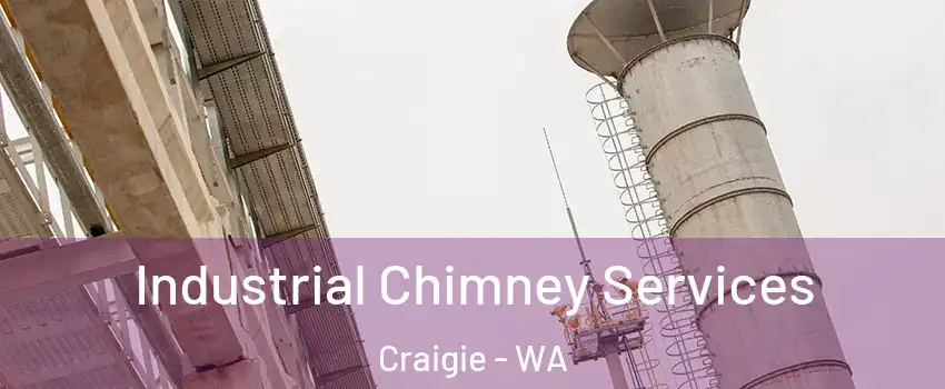 Industrial Chimney Services Craigie - WA