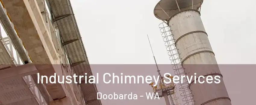 Industrial Chimney Services Doobarda - WA