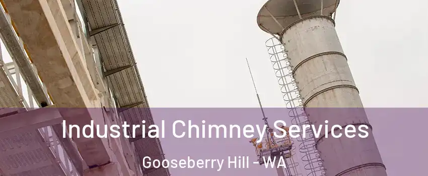 Industrial Chimney Services Gooseberry Hill - WA