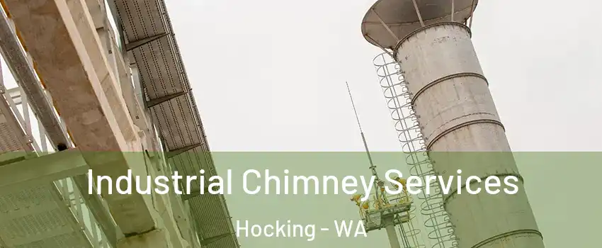 Industrial Chimney Services Hocking - WA