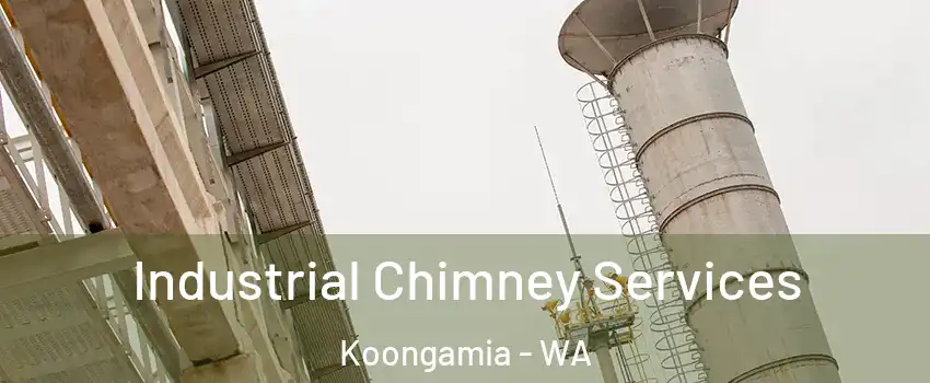 Industrial Chimney Services Koongamia - WA