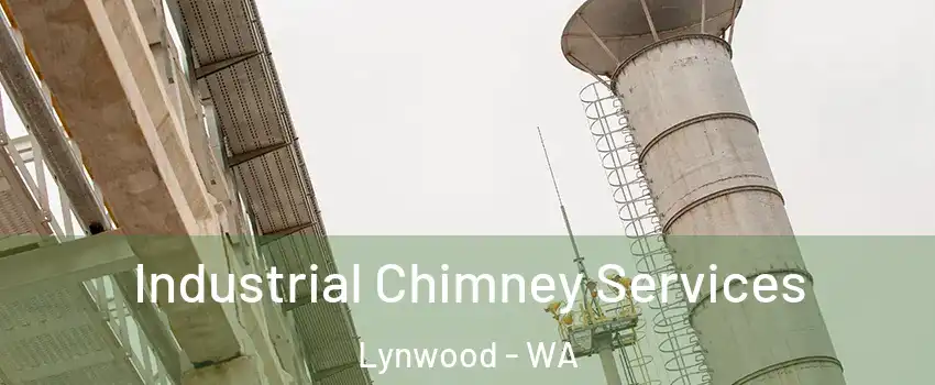 Industrial Chimney Services Lynwood - WA