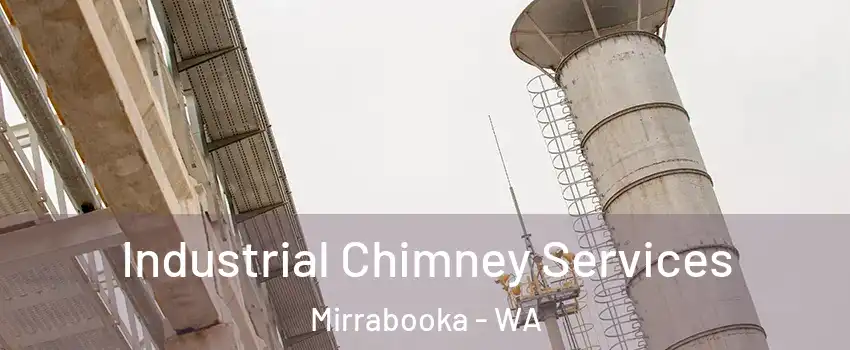 Industrial Chimney Services Mirrabooka - WA