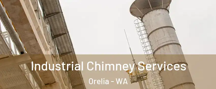 Industrial Chimney Services Orelia - WA