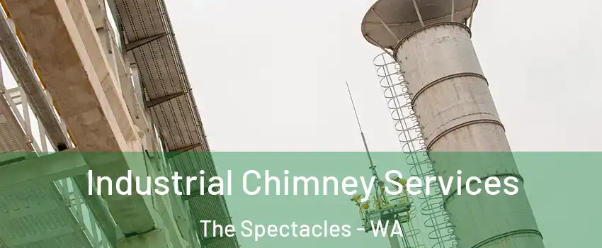 Industrial Chimney Services The Spectacles - WA