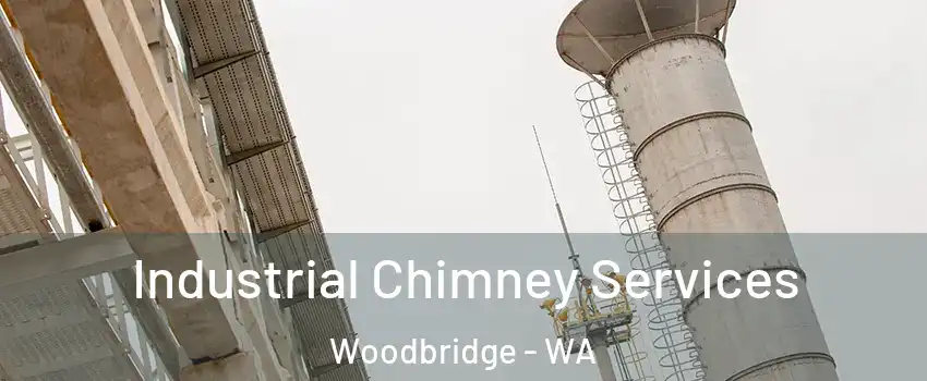 Industrial Chimney Services Woodbridge - WA
