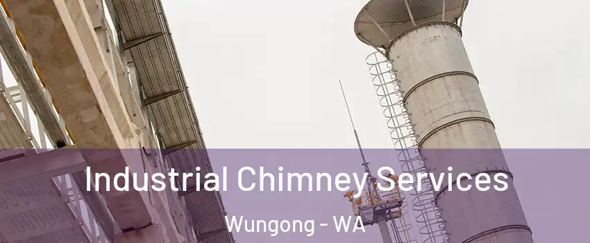 Industrial Chimney Services Wungong - WA