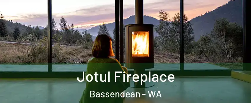 Jotul Fireplace Bassendean - WA