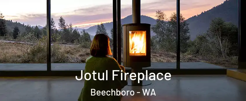 Jotul Fireplace Beechboro - WA