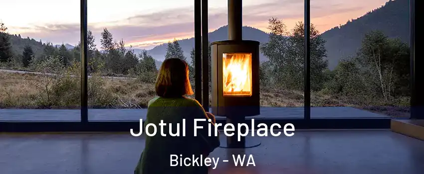 Jotul Fireplace Bickley - WA