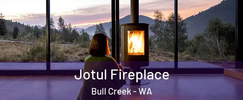 Jotul Fireplace Bull Creek - WA