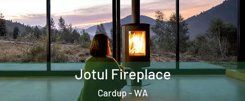 Jotul Fireplace Cardup - WA