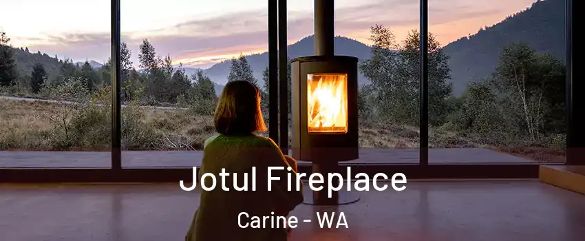 Jotul Fireplace Carine - WA