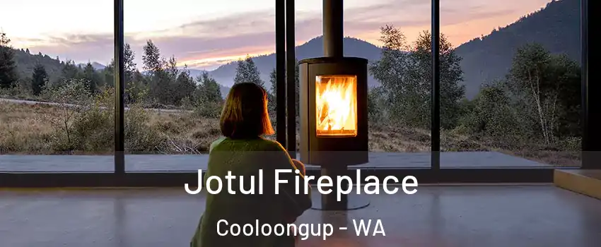 Jotul Fireplace Cooloongup - WA