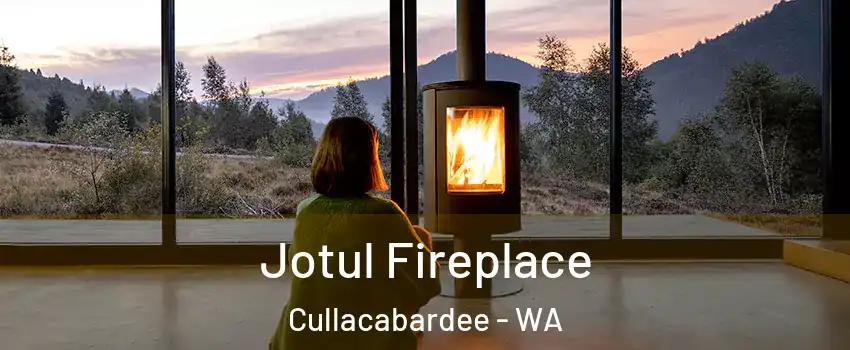 Jotul Fireplace Cullacabardee - WA