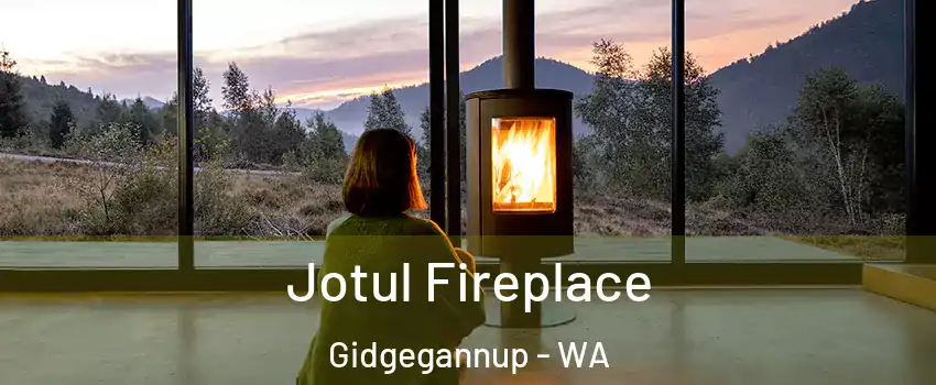 Jotul Fireplace Gidgegannup - WA