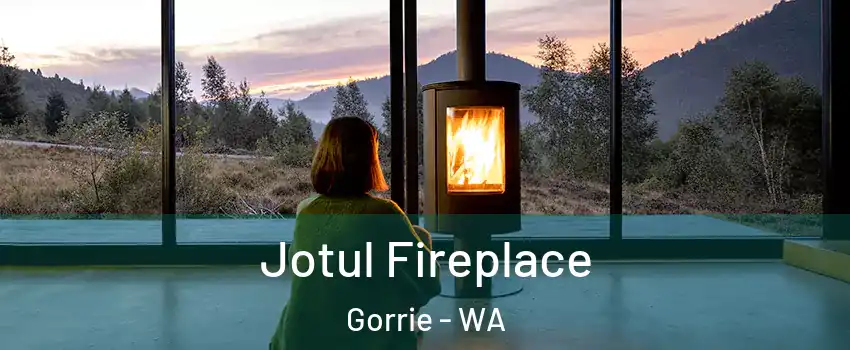 Jotul Fireplace Gorrie - WA