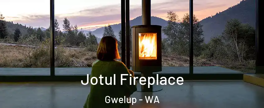 Jotul Fireplace Gwelup - WA