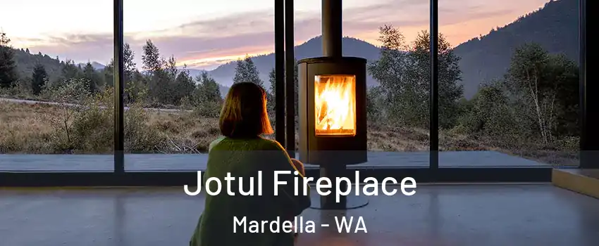 Jotul Fireplace Mardella - WA