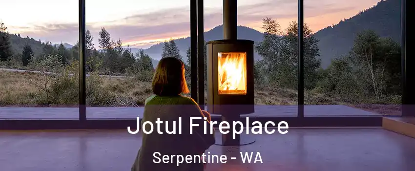 Jotul Fireplace Serpentine - WA