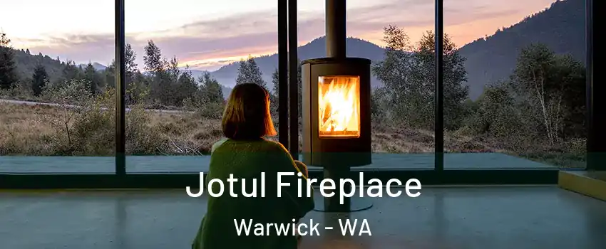 Jotul Fireplace Warwick - WA