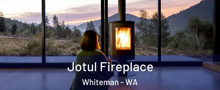 Jotul Fireplace Whiteman - WA