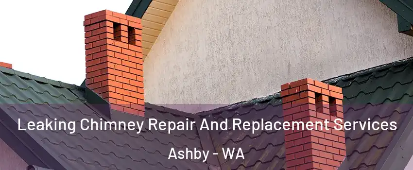Leaking Chimney Repair And Replacement Services Ashby - WA