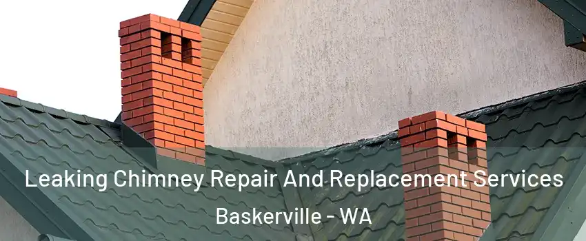 Leaking Chimney Repair And Replacement Services Baskerville - WA