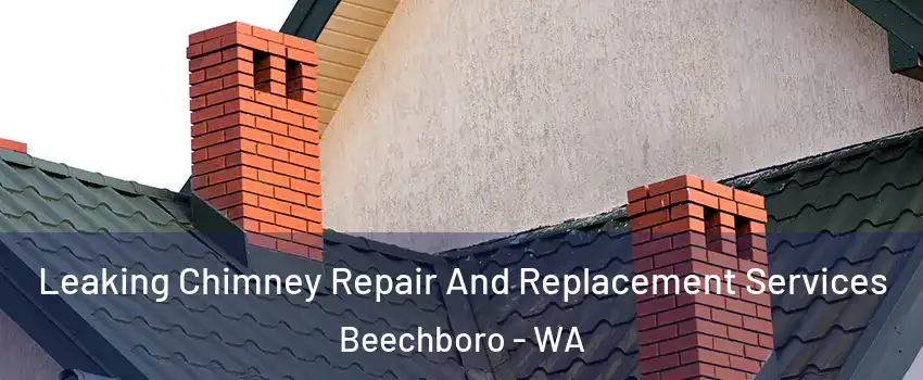 Leaking Chimney Repair And Replacement Services Beechboro - WA