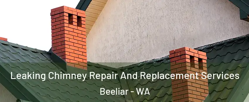 Leaking Chimney Repair And Replacement Services Beeliar - WA