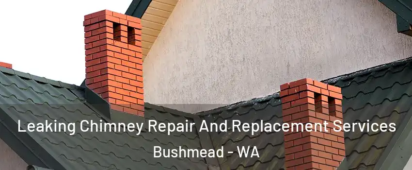 Leaking Chimney Repair And Replacement Services Bushmead - WA