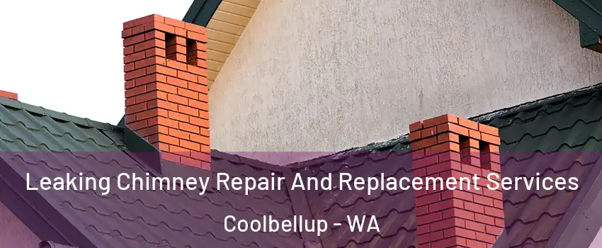Leaking Chimney Repair And Replacement Services Coolbellup - WA