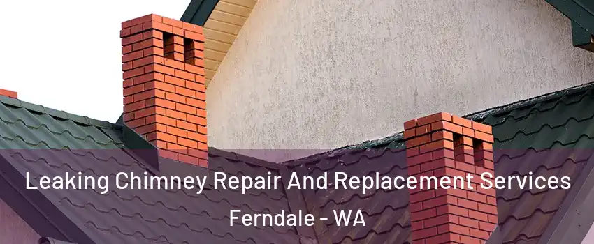 Leaking Chimney Repair And Replacement Services Ferndale - WA