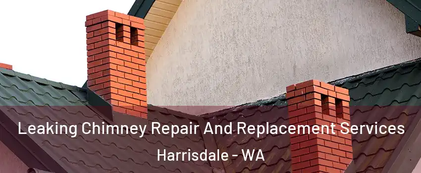 Leaking Chimney Repair And Replacement Services Harrisdale - WA