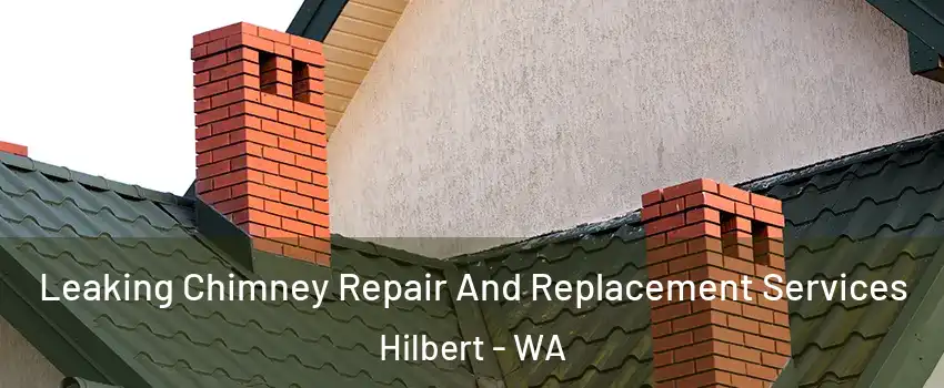 Leaking Chimney Repair And Replacement Services Hilbert - WA