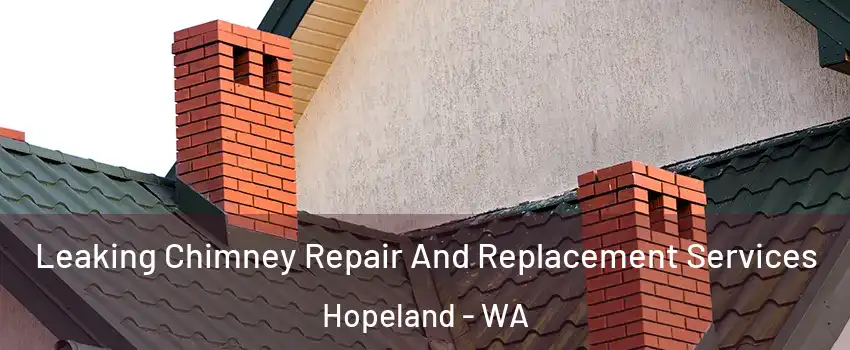 Leaking Chimney Repair And Replacement Services Hopeland - WA