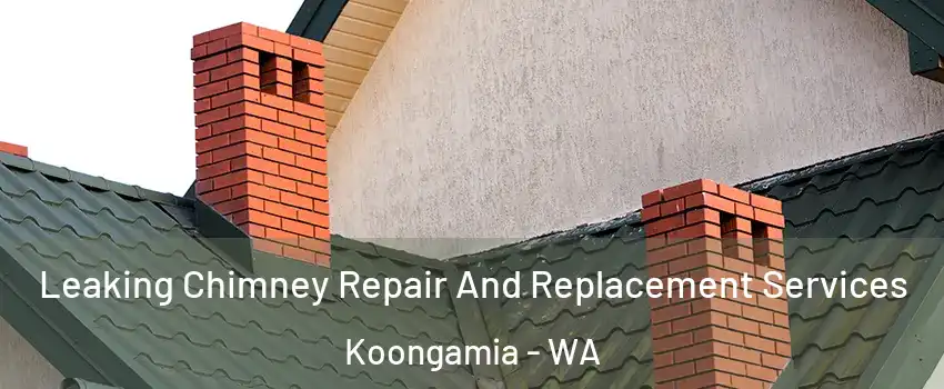 Leaking Chimney Repair And Replacement Services Koongamia - WA