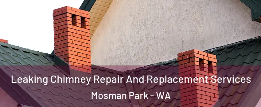 Leaking Chimney Repair And Replacement Services Mosman Park - WA