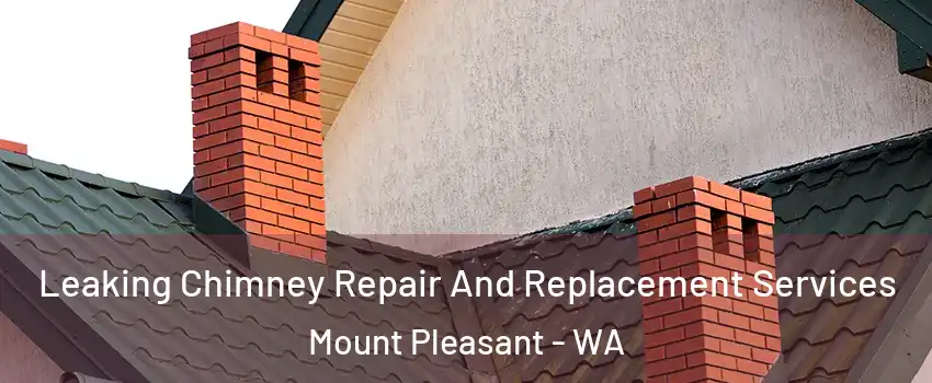 Leaking Chimney Repair And Replacement Services Mount Pleasant - WA
