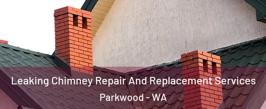 Leaking Chimney Repair And Replacement Services Parkwood - WA