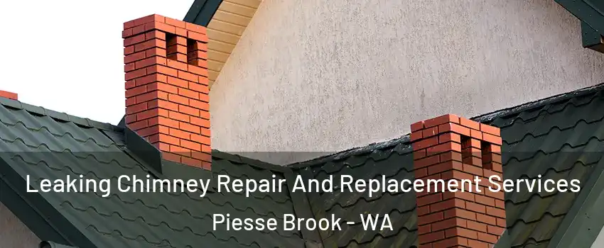 Leaking Chimney Repair And Replacement Services Piesse Brook - WA