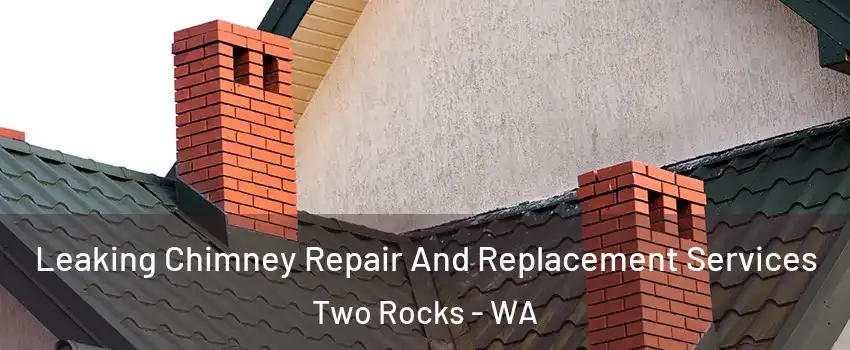 Leaking Chimney Repair And Replacement Services Two Rocks - WA