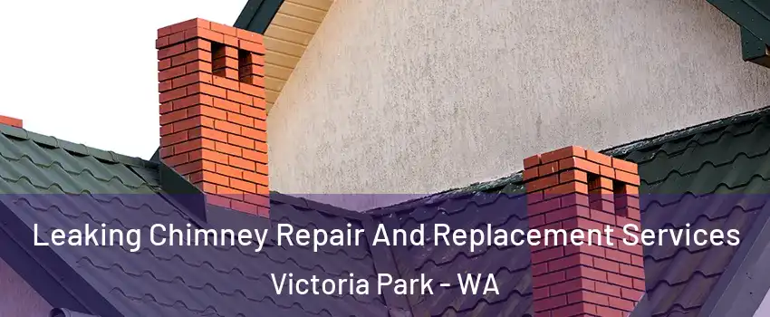 Leaking Chimney Repair And Replacement Services Victoria Park - WA