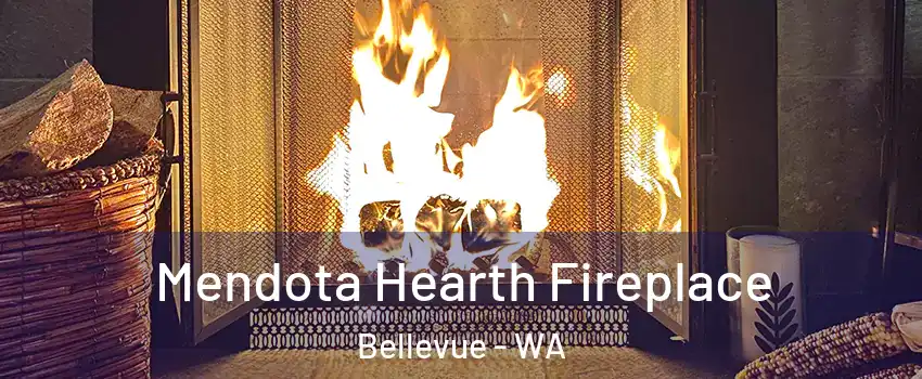 Mendota Hearth Fireplace Bellevue - WA