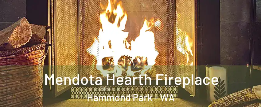 Mendota Hearth Fireplace Hammond Park - WA