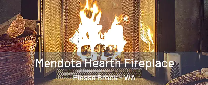 Mendota Hearth Fireplace Piesse Brook - WA