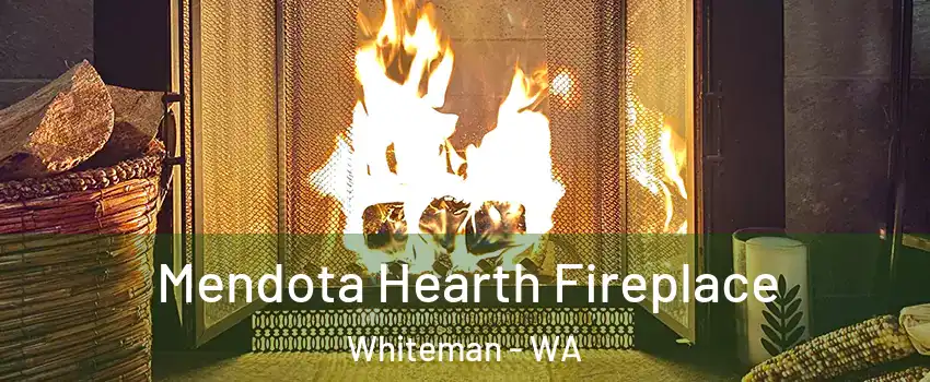 Mendota Hearth Fireplace Whiteman - WA
