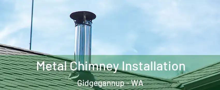 Metal Chimney Installation Gidgegannup - WA