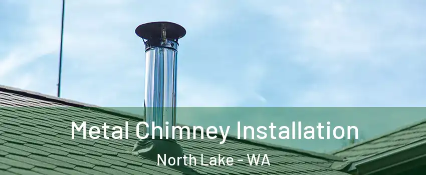 Metal Chimney Installation North Lake - WA