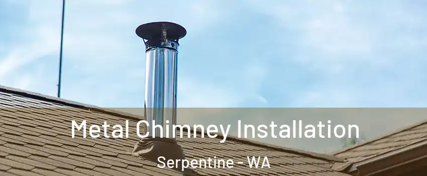 Metal Chimney Installation Serpentine - WA